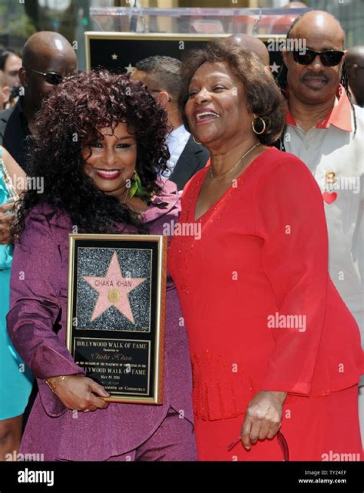 Unveiling Chaka Khan's Family Reunion: Discoveries And Insights
